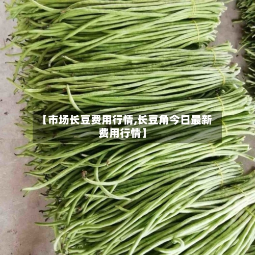 【市场长豆费用行情,长豆角今日最新费用行情】-第1张图片