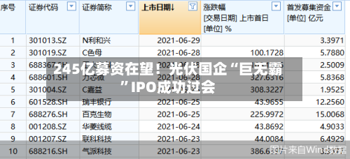 245亿募资在望！光伏国企“巨无霸”IPO成功过会-第1张图片