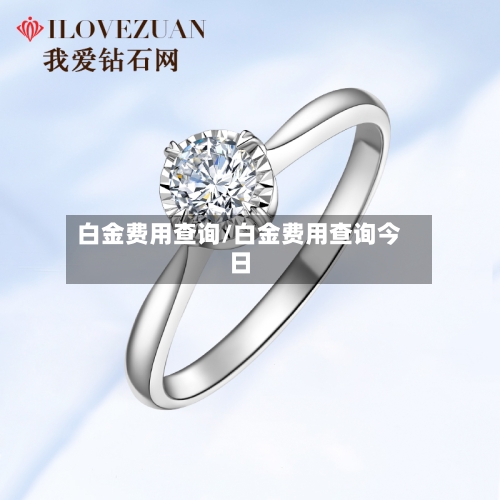 白金费用查询/白金费用查询今日-第1张图片