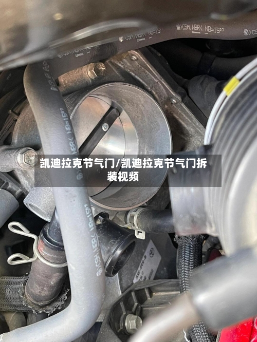 凯迪拉克节气门/凯迪拉克节气门拆装视频-第1张图片