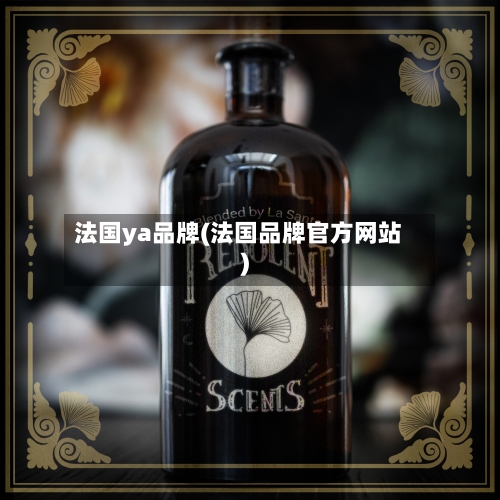 法国ya品牌(法国品牌官方网站)-第1张图片
