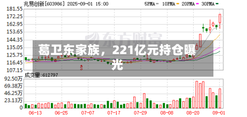 葛卫东家族，221亿元持仓曝光-第2张图片