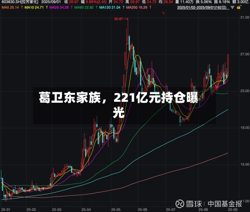 葛卫东家族，221亿元持仓曝光-第3张图片