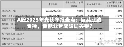 A股2025年光伏年报盘点：巨头业绩受挫，储能业务成破局关键？-第3张图片