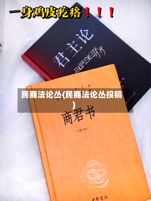 民商法论丛(民商法论丛投稿)-第2张图片