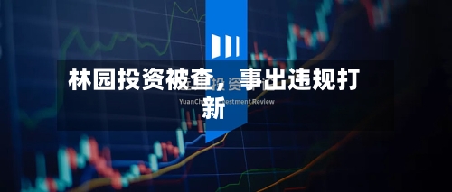 林园投资被查	，事出违规打新-第1张图片