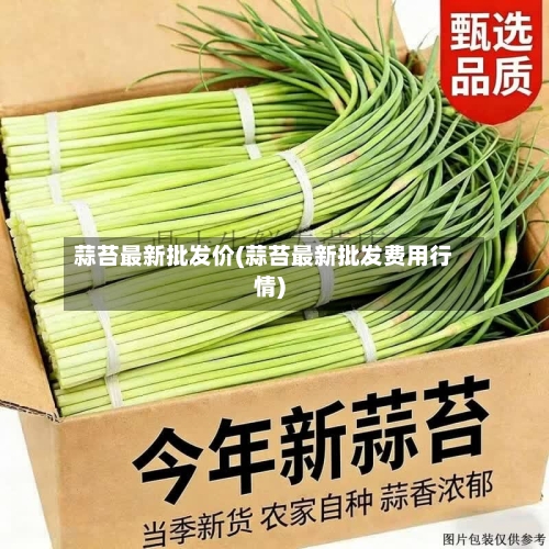 蒜苔最新批发价(蒜苔最新批发费用行情)-第2张图片