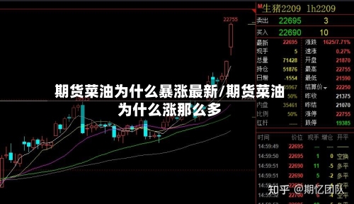 期货菜油为什么暴涨最新/期货菜油为什么涨那么多-第1张图片