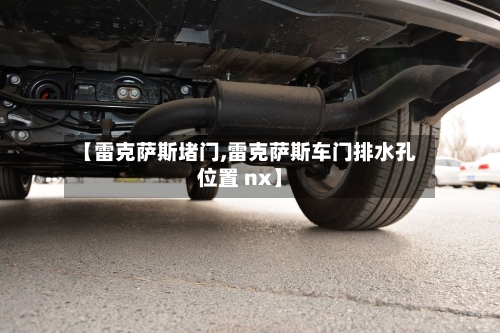 【雷克萨斯堵门,雷克萨斯车门排水孔位置 nx】-第1张图片
