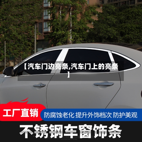 【汽车门边亮条,汽车门上的亮条】-第1张图片