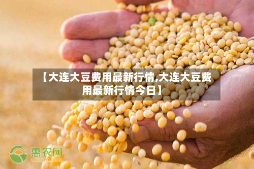 【大连大豆费用最新行情,大连大豆费用最新行情今日】-第3张图片