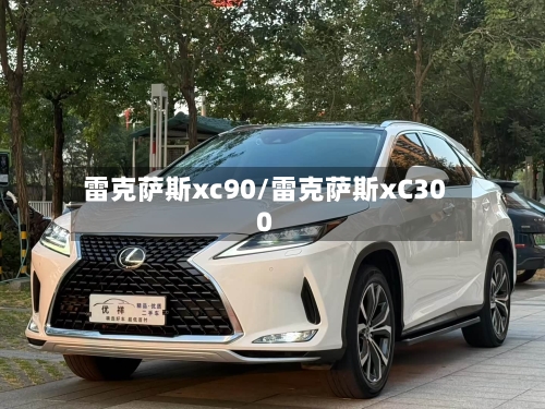 雷克萨斯xc90/雷克萨斯xC300-第2张图片