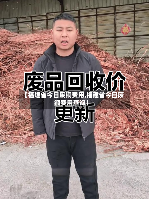 【福建省今日废铜费用,福建省今日废铜费用查询】-第1张图片