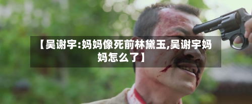 【吴谢宇:妈妈像死前林黛玉,吴谢宇妈妈怎么了】-第1张图片