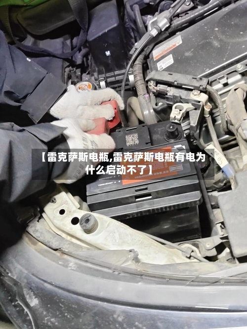 【雷克萨斯电瓶,雷克萨斯电瓶有电为什么启动不了】-第2张图片