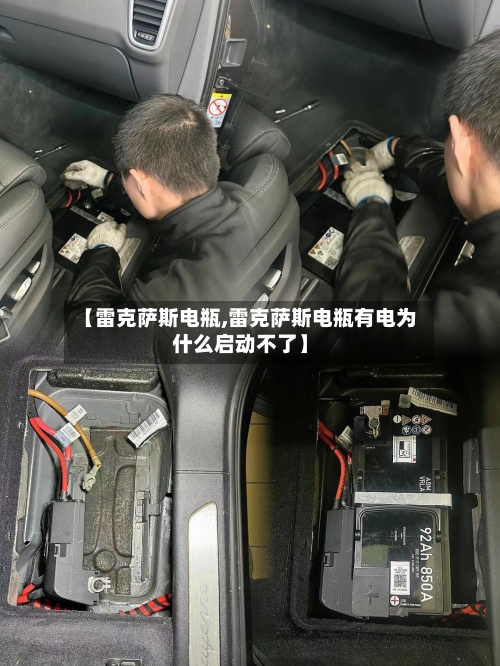 【雷克萨斯电瓶,雷克萨斯电瓶有电为什么启动不了】-第3张图片