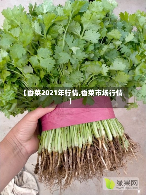 【香菜2021年行情,香菜市场行情】-第2张图片