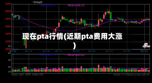 现在pta行情(近期pta费用大涨)-第1张图片