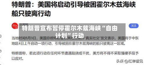 特朗普宣布暂停霍尔木兹海峡“自由计划	”行动-第2张图片