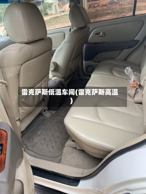 雷克萨斯低温车间(雷克萨斯高温)-第1张图片