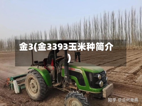 金3(金3393玉米种简介)-第2张图片