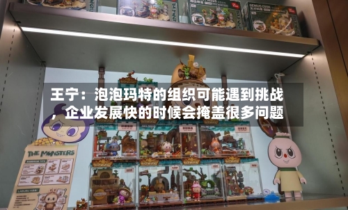 王宁：泡泡玛特的组织可能遇到挑战，企业发展快的时候会掩盖很多问题-第1张图片