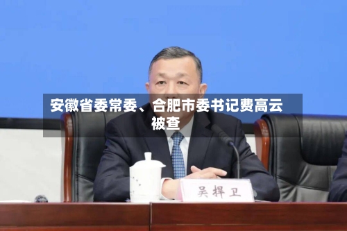 安徽省委常委	、合肥市委书记费高云被查-第1张图片