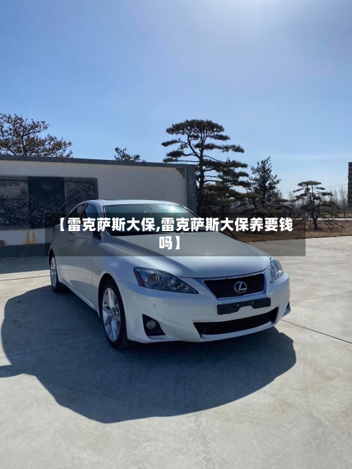 【雷克萨斯大保,雷克萨斯大保养要钱吗】-第3张图片