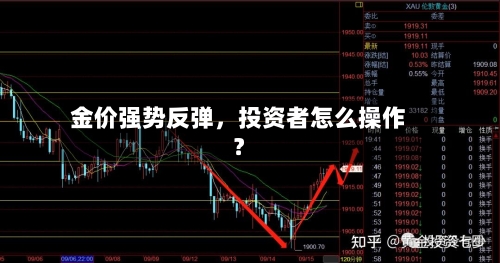 金价强势反弹，投资者怎么操作？-第2张图片
