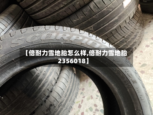 【倍耐力雪地胎怎么样,倍耐力雪地胎2356018】-第2张图片