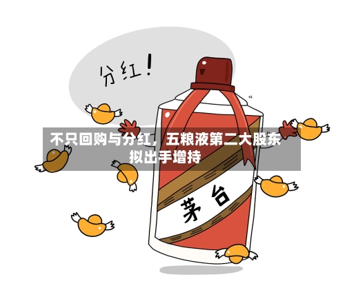 不只回购与分红，五粮液第二大股东拟出手增持-第2张图片
