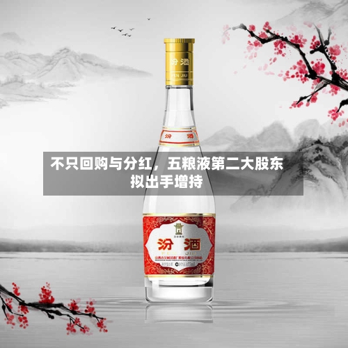 不只回购与分红，五粮液第二大股东拟出手增持-第1张图片