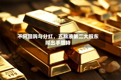 不只回购与分红，五粮液第二大股东拟出手增持-第3张图片