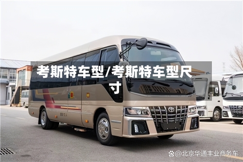 考斯特车型/考斯特车型尺寸-第1张图片