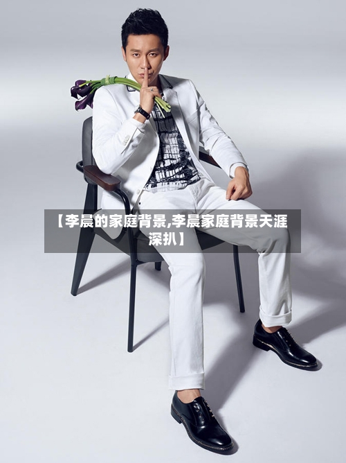【李晨的家庭背景,李晨家庭背景天涯深扒】-第2张图片