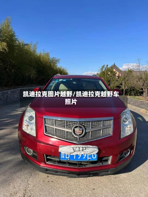 凯迪拉克图片越野/凯迪拉克越野车照片-第3张图片