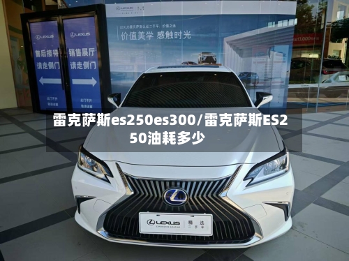 雷克萨斯es250es300/雷克萨斯ES250油耗多少-第2张图片