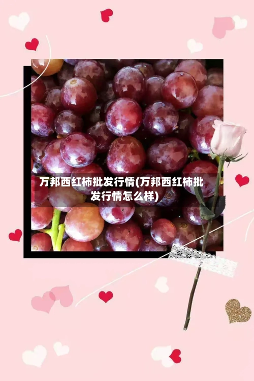万邦西红柿批发行情(万邦西红柿批发行情怎么样)-第3张图片