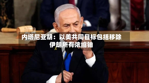 内塔尼亚胡：以美共同目标包括移除伊朗所有浓缩铀-第1张图片