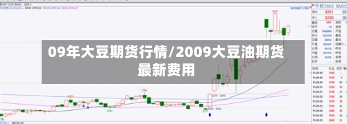 09年大豆期货行情/2009大豆油期货最新费用-第1张图片