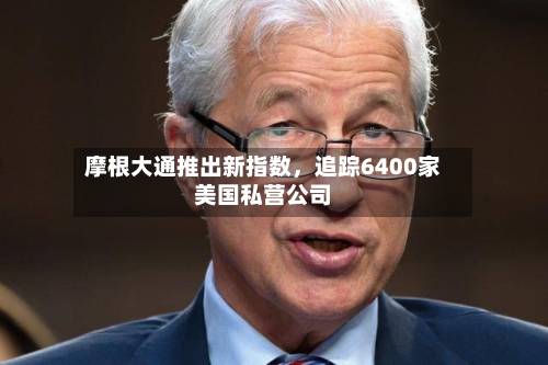 摩根大通推出新指数，追踪6400家美国私营公司-第3张图片