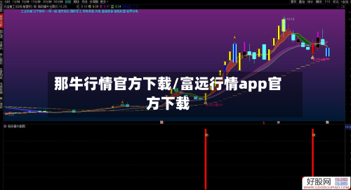 那牛行情官方下载/富远行情app官方下载-第1张图片