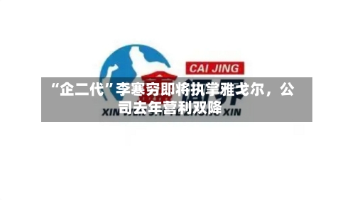 “企二代”李寒穷即将执掌雅戈尔，公司去年营利双降-第1张图片