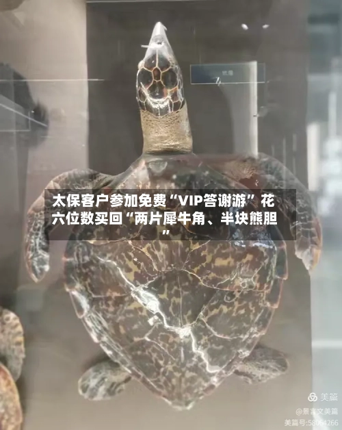太保客户参加免费“VIP答谢游	” 花六位数买回“两片犀牛角	、半块熊胆”-第1张图片