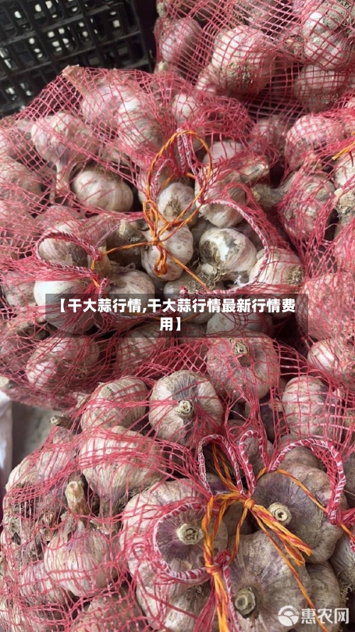 【干大蒜行情,干大蒜行情最新行情费用】-第1张图片
