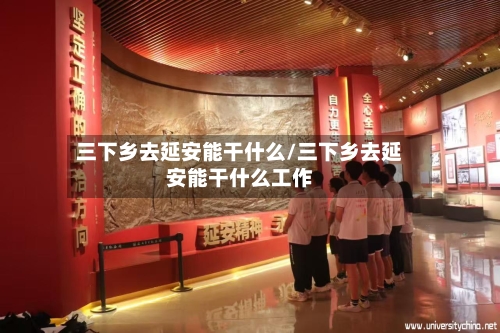三下乡去延安能干什么/三下乡去延安能干什么工作-第1张图片