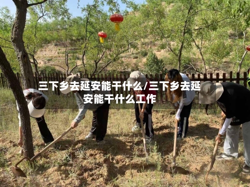 三下乡去延安能干什么/三下乡去延安能干什么工作-第2张图片