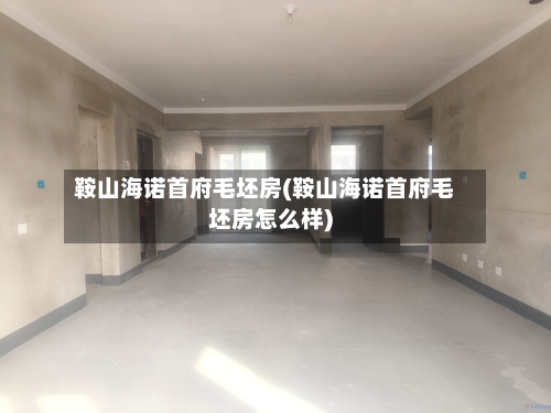 鞍山海诺首府毛坯房(鞍山海诺首府毛坯房怎么样)-第2张图片