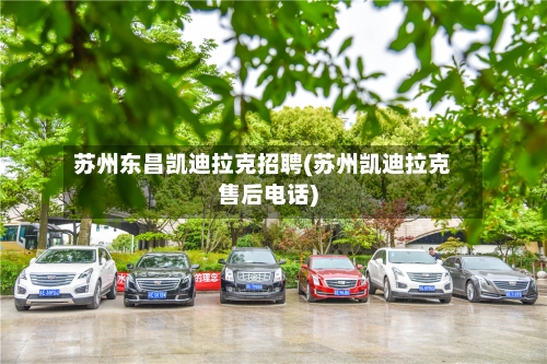 苏州东昌凯迪拉克招聘(苏州凯迪拉克售后电话)-第3张图片