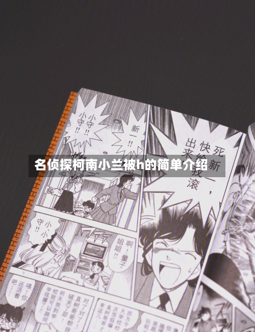 名侦探柯南小兰被h的简单介绍-第2张图片